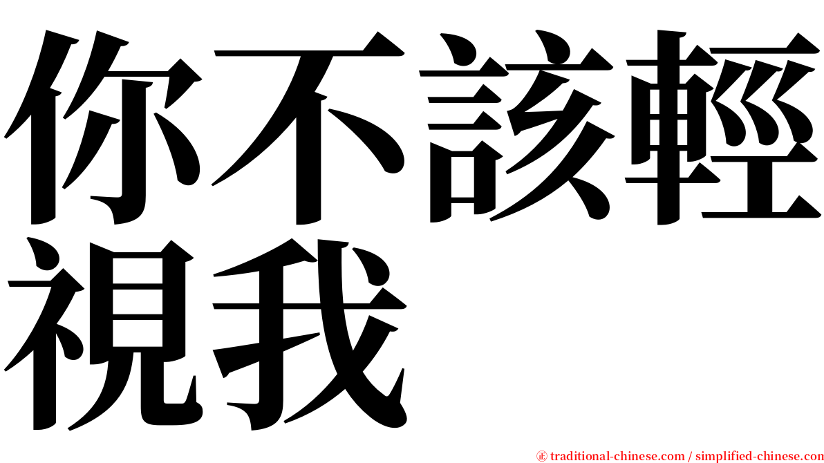 你不該輕視我　 serif font